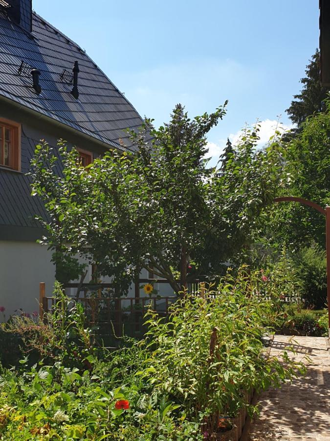 Oekologische Ferienwohnung Becker Kottmar Exterior photo